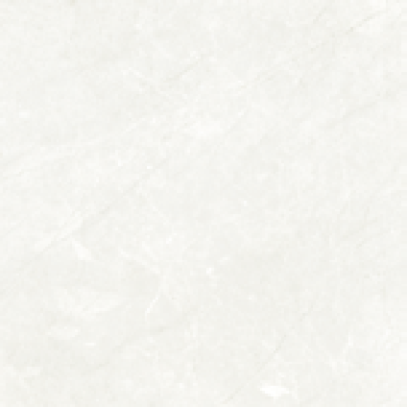 4545payaswhite-Matt-70