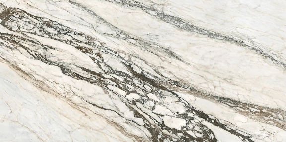 Picasso8000-0224-0-10